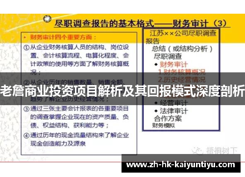 老詹商业投资项目解析及其回报模式深度剖析