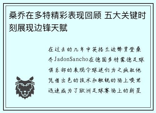 桑乔在多特精彩表现回顾 五大关键时刻展现边锋天赋
